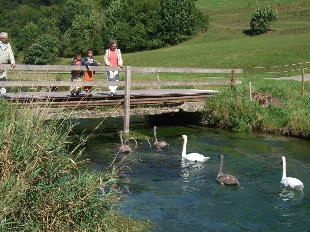 Gasthof Zur Post Zwiefalten Esterno foto